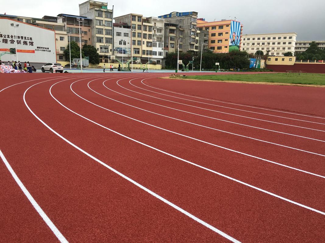 大理白族自治州硅PU塑胶跑道材料 - 排名